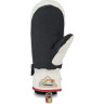 Варежки DAKINE POINTER MITT HCSC RAINBOW Размер M 10001995 (0610934301182)
